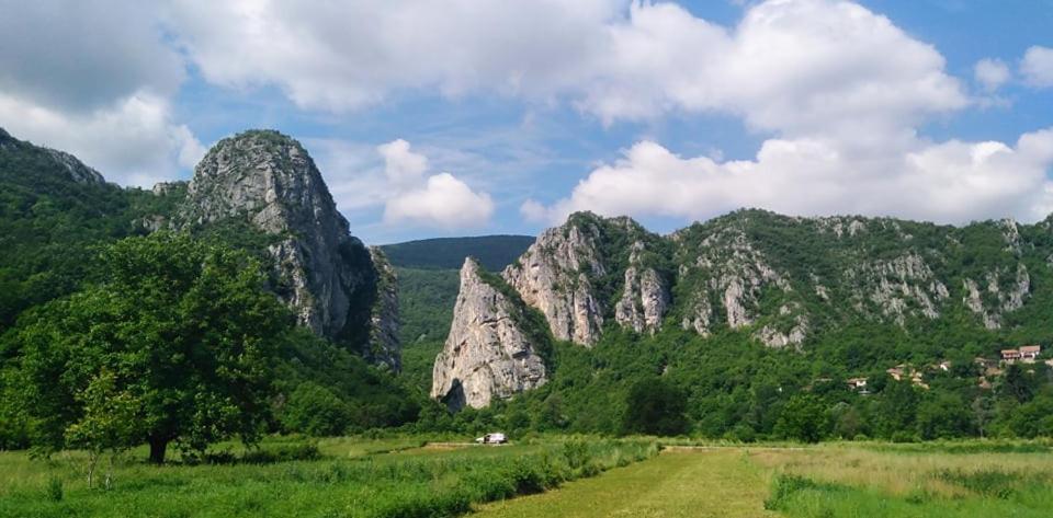 Odmaraliste Vlasko Zdrelo Pirot Extérieur photo