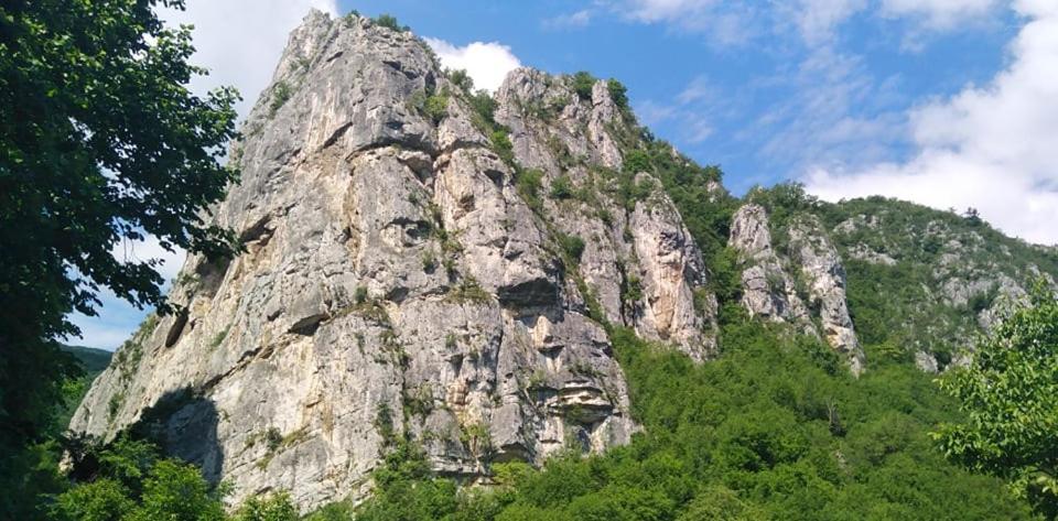 Odmaraliste Vlasko Zdrelo Pirot Extérieur photo