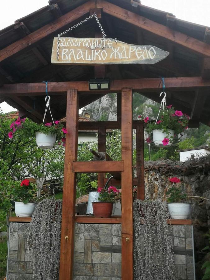 Odmaraliste Vlasko Zdrelo Pirot Extérieur photo