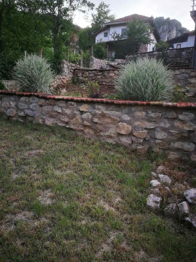 Odmaraliste Vlasko Zdrelo Pirot Extérieur photo